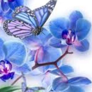 Meet your Posher, Manuela